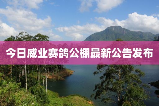 今日威业赛鸽公棚最新公告发布