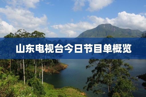 山东电视台今日节目单概览