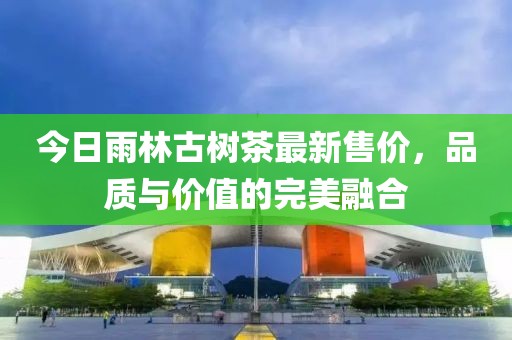 今日雨林古树茶最新售价，品质与价值的完美融合