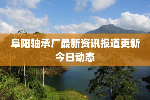 阜阳轴承厂最新资讯报道更新今日动态