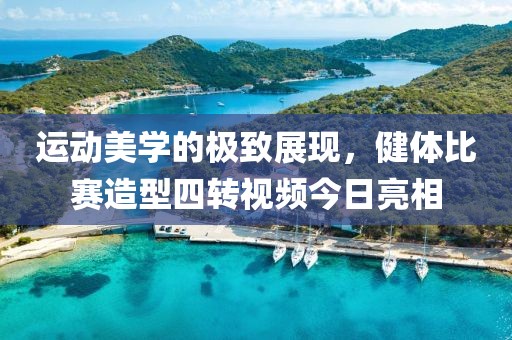 运动美学的极致展现，健体比赛造型四转视频今日亮相