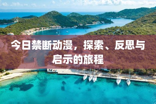 今日禁断动漫，探索、反思与启示的旅程