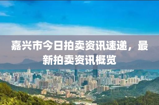 嘉兴市今日拍卖资讯速递，最新拍卖资讯概览