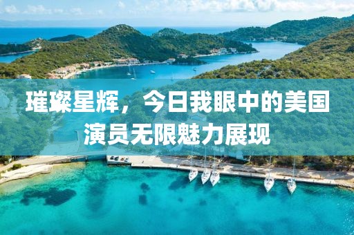 璀璨星辉，今日我眼中的美国演员无限魅力展现
