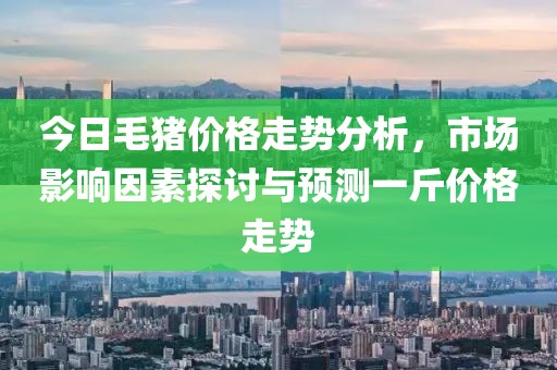 今日毛猪价格走势分析，市场影响因素探讨与预测一斤价格走势