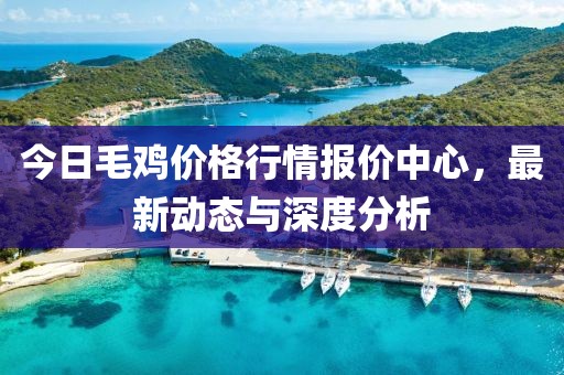 今日毛鸡价格行情报价中心，最新动态与深度分析