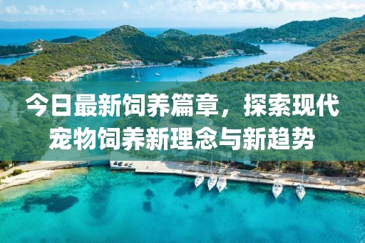 今日最新饲养篇章，探索现代宠物饲养新理念与新趋势
