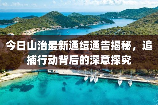 今日山治最新通缉通告揭秘，追捕行动背后的深意探究
