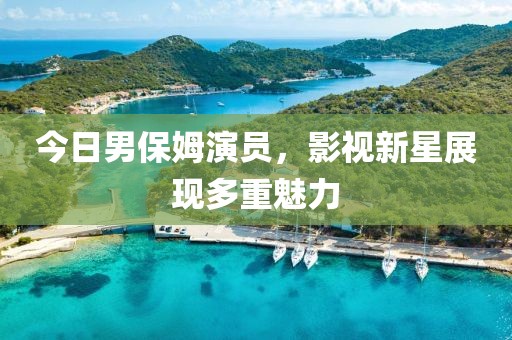 今日男保姆演员，影视新星展现多重魅力