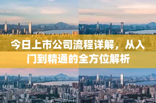 今日上市公司流程详解，从入门到精通的全方位解析