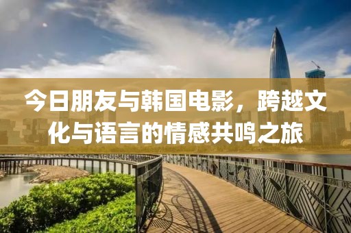 今日朋友与韩国电影，跨越文化与语言的情感共鸣之旅