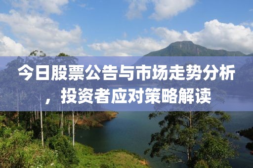 今日股票公告与市场走势分析，投资者应对策略解读