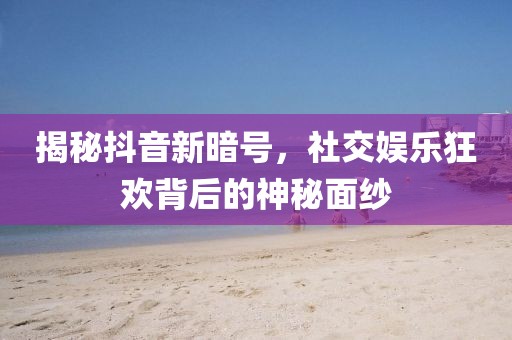 揭秘抖音新暗号，社交娱乐狂欢背后的神秘面纱
