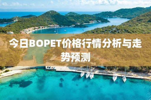 今日BOPET价格行情分析与走势预测
