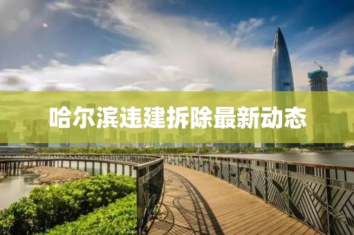 2025年3月 第8页