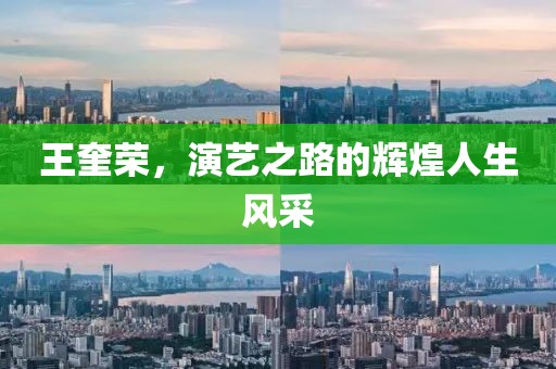 王奎荣，演艺之路的辉煌人生风采