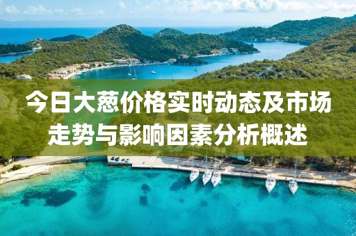 今日大葱价格实时动态及市场走势与影响因素分析概述
