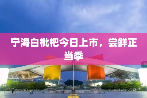 宁海白枇杷今日上市，尝鲜正当季