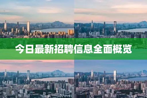 今日最新招聘信息全面概览