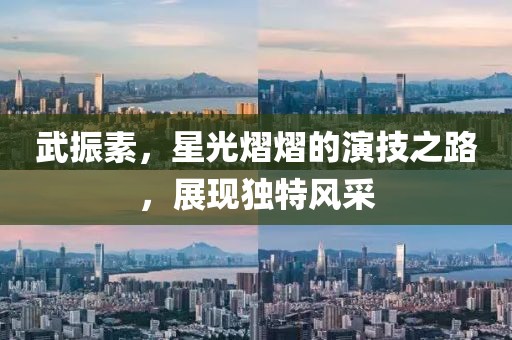 武振素，星光熠熠的演技之路，展现独特风采
