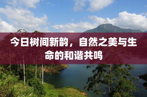 今日树间新韵，自然之美与生命的和谐共鸣