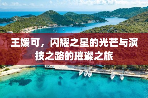 王媛可，闪耀之星的光芒与演技之路的璀璨之旅