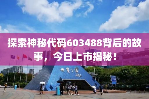 探索神秘代码603488背后的故事，今日上市揭秘！