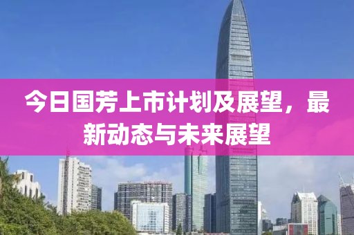 今日国芳上市计划及展望，最新动态与未来展望