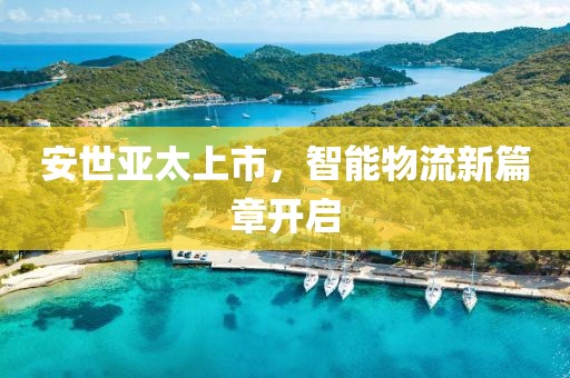 安世亚太上市，智能物流新篇章开启