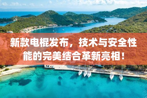新款电棍发布，技术与安全性能的完美结合革新亮相！