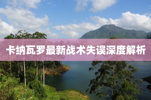 游辰 第13页