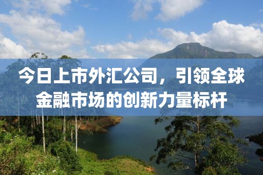 今日上市外汇公司，引领全球金融市场的创新力量标杆
