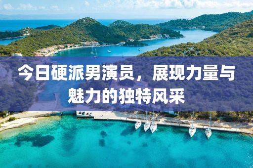今日硬派男演员，展现力量与魅力的独特风采
