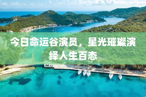 今日命运谷演员，星光璀璨演绎人生百态