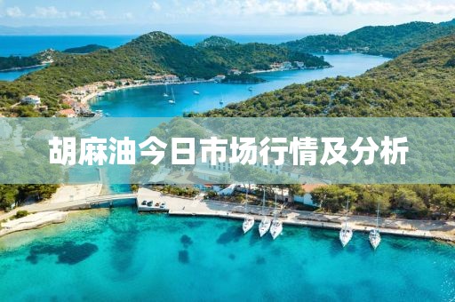 胡麻油今日市场行情及分析