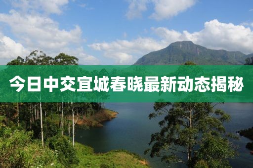 今日中交宜城春晓最新动态揭秘