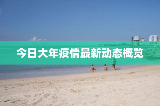 今日大年疫情最新动态概览