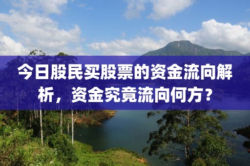 今日股民买股票的资金流向解析，资金究竟流向何方？
