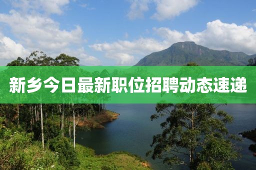 新乡今日最新职位招聘动态速递