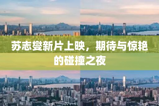 苏志燮新片上映，期待与惊艳的碰撞之夜