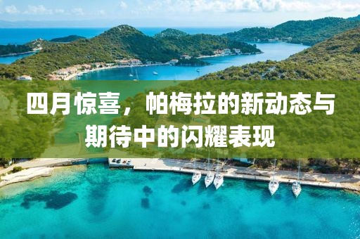 四月惊喜，帕梅拉的新动态与期待中的闪耀表现