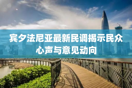 宾夕法尼亚最新民调揭示民众心声与意见动向