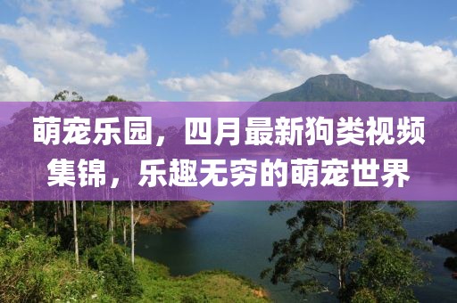 萌宠乐园，四月最新狗类视频集锦，乐趣无穷的萌宠世界