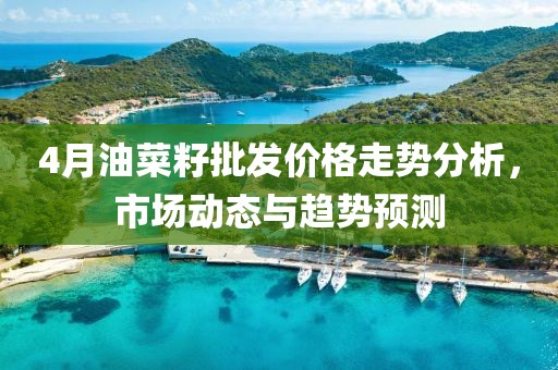 4月油菜籽批发价格走势分析，市场动态与趋势预测