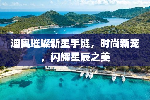 迪奥璀璨新星手链，时尚新宠，闪耀星辰之美