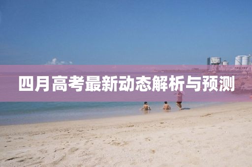 四月高考最新动态解析与预测
