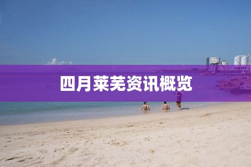 四月莱芜资讯概览