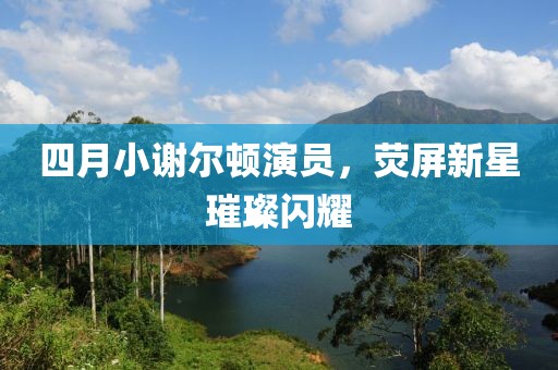 四月小谢尔顿演员，荧屏新星璀璨闪耀