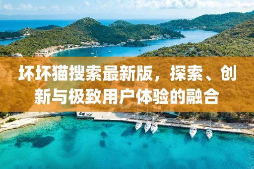 坏坏猫搜索最新版，探索、创新与极致用户体验的融合