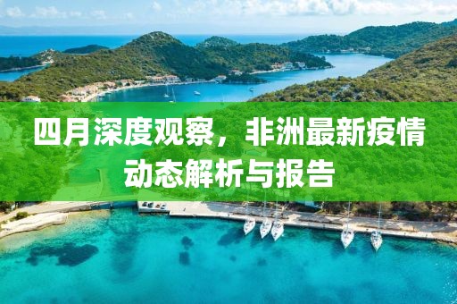 四月深度观察，非洲最新疫情动态解析与报告